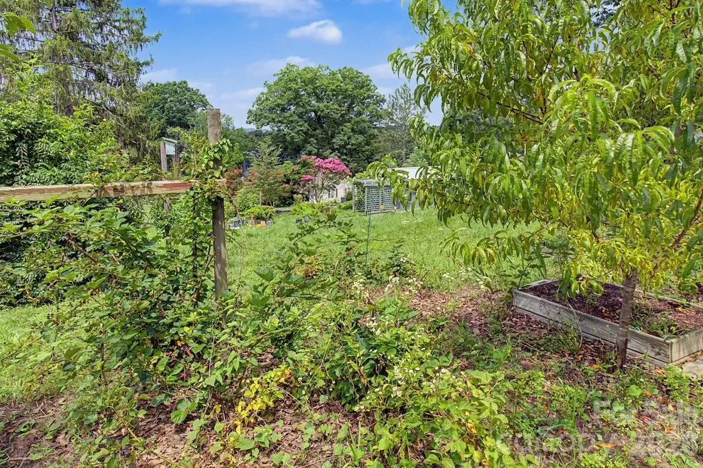 25 Wentworth Avenue Asheville NC 28803