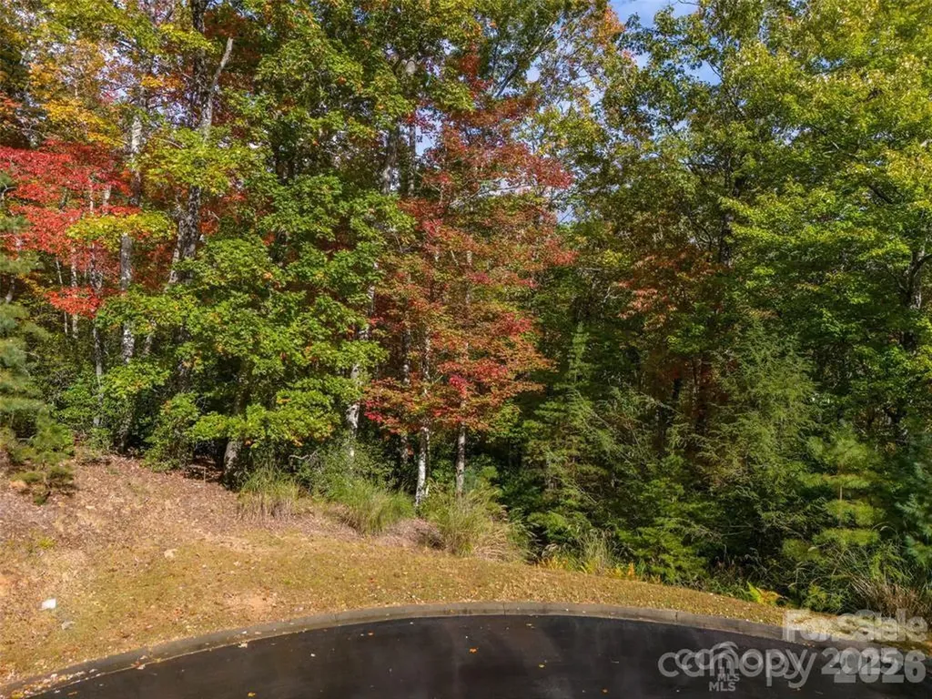99999 Caddis Lane Horse Shoe NC 28742