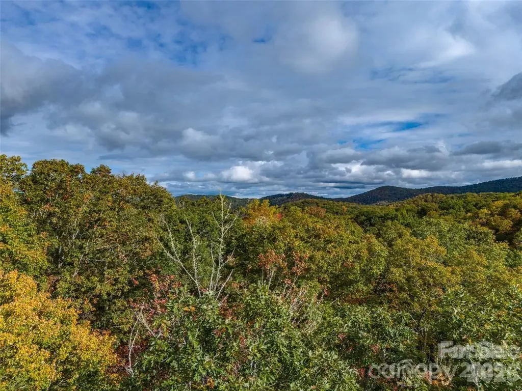99999 Caddis Lane Horse Shoe NC 28742