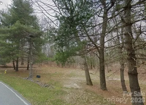 1008 Indian Cave Road Hendersonville NC 28739