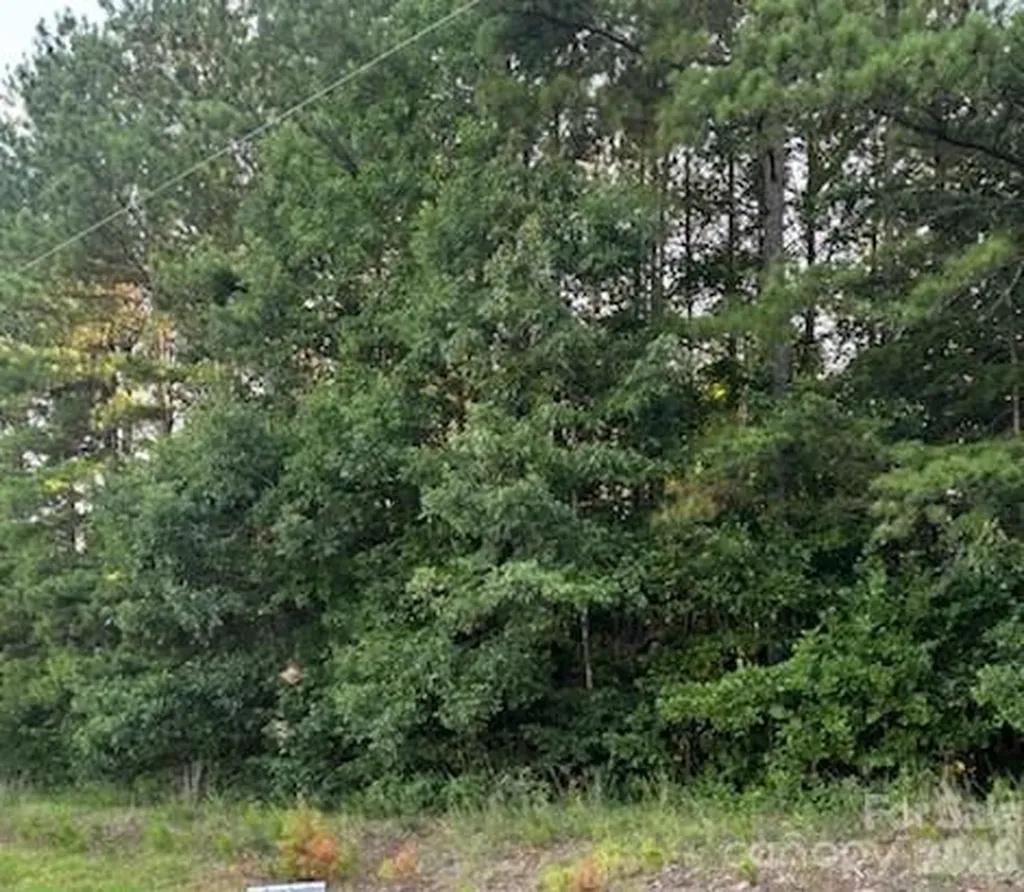 Lot 2 Mathis Church Road Catawba NC 28609