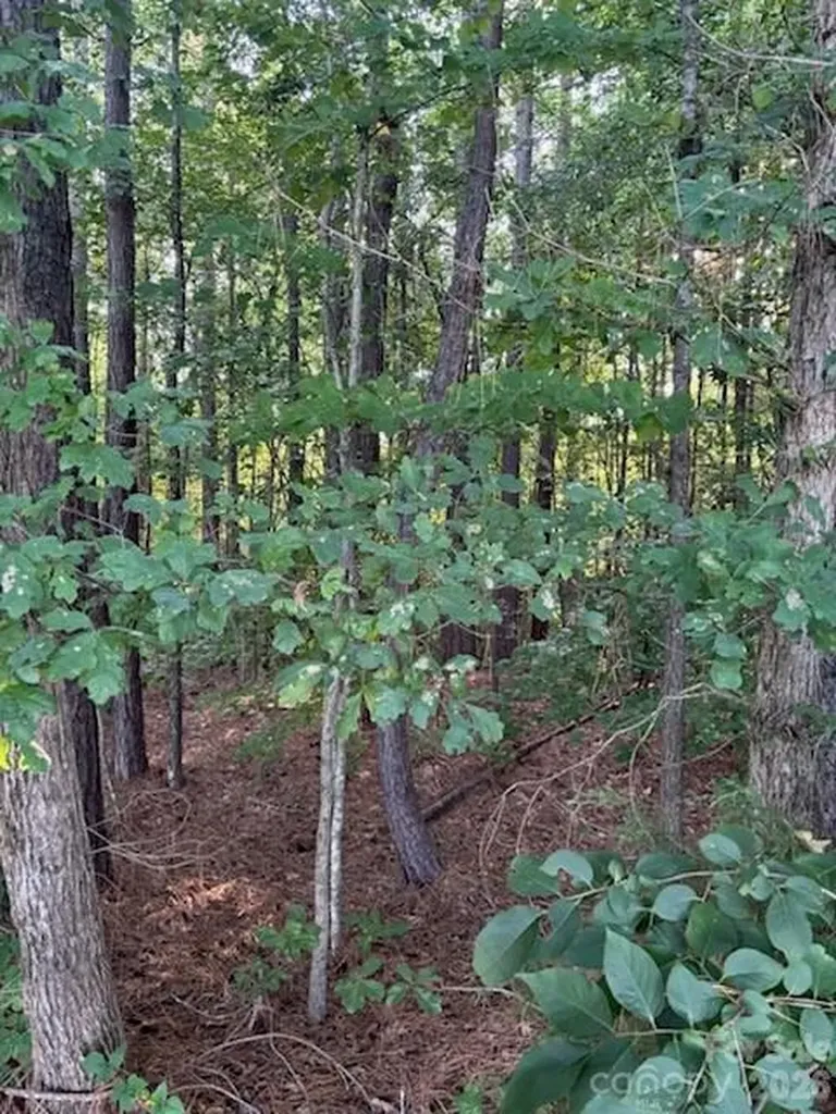Lot 2 Mathis Church Road Catawba NC 28609