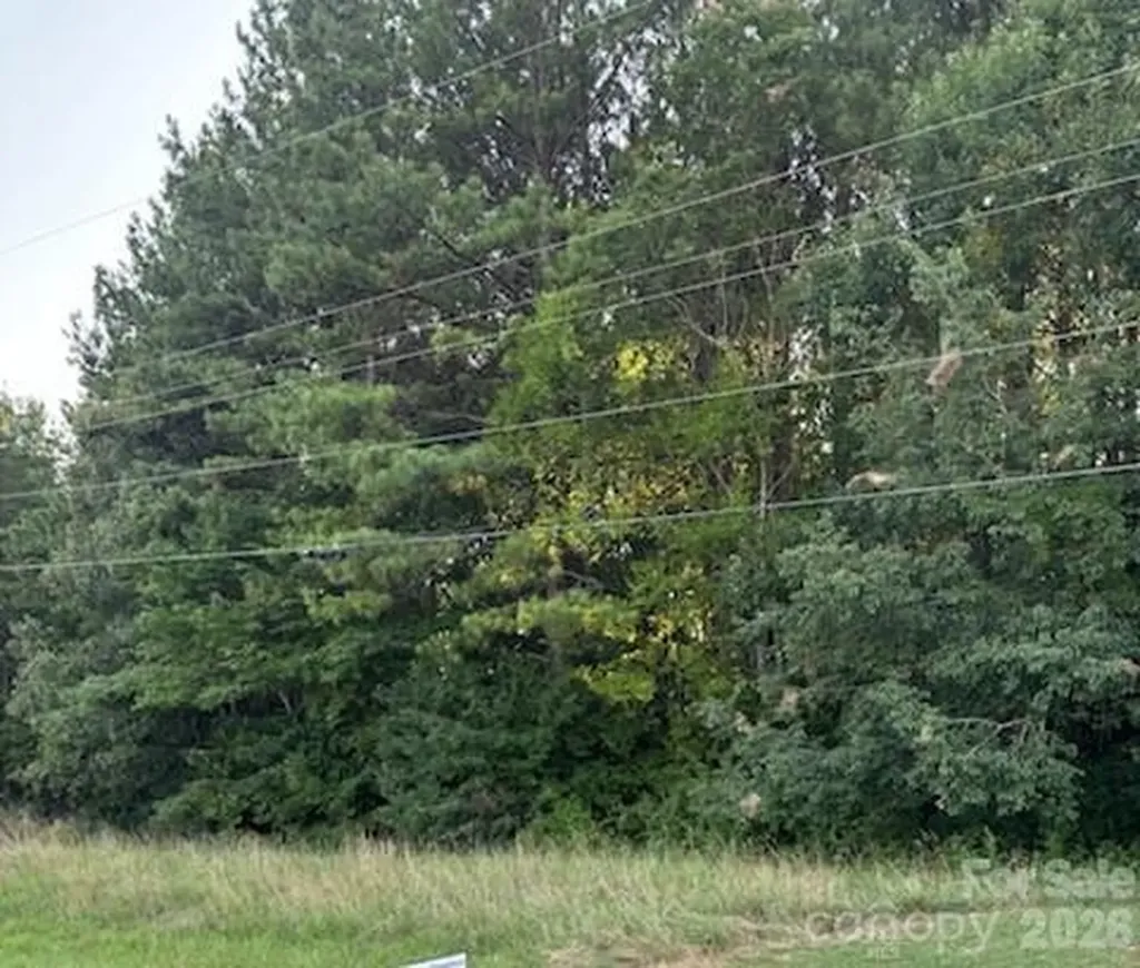 Lot 1 Mathis Church Road Catawba NC 28609