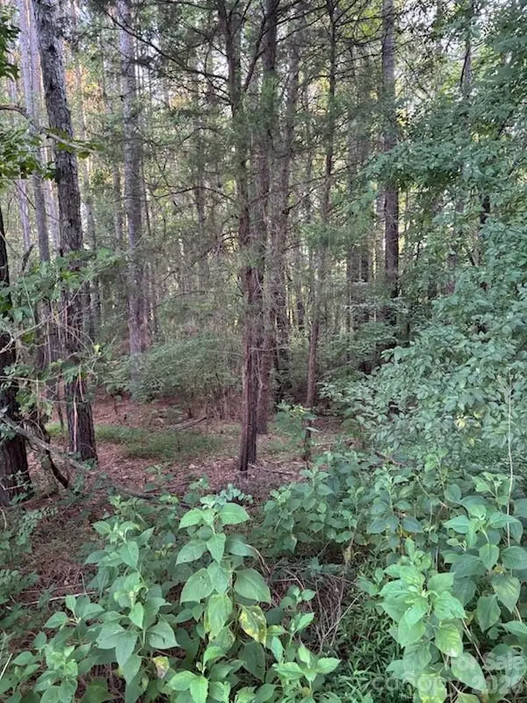 Lot 1 Mathis Church Road Catawba NC 28609