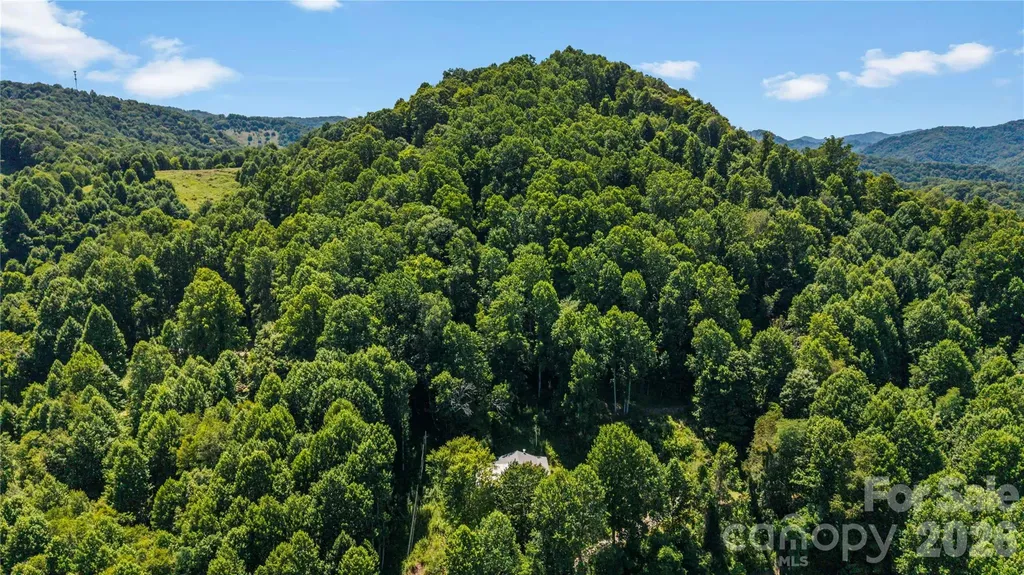 2879 Chandler Creek Road Mars Hill NC 28754