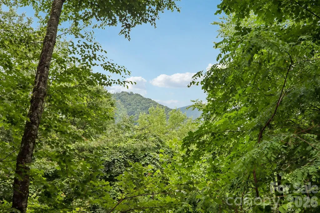 1061 Setzer Cove Road Maggie Valley NC 28751