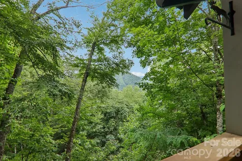 1061 Setzer Cove Road Maggie Valley NC 28751