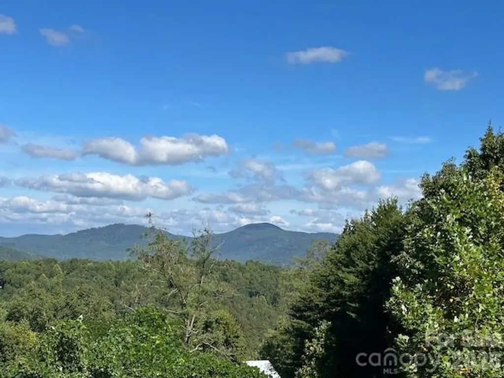 Bostic NC, Tahawus Drive