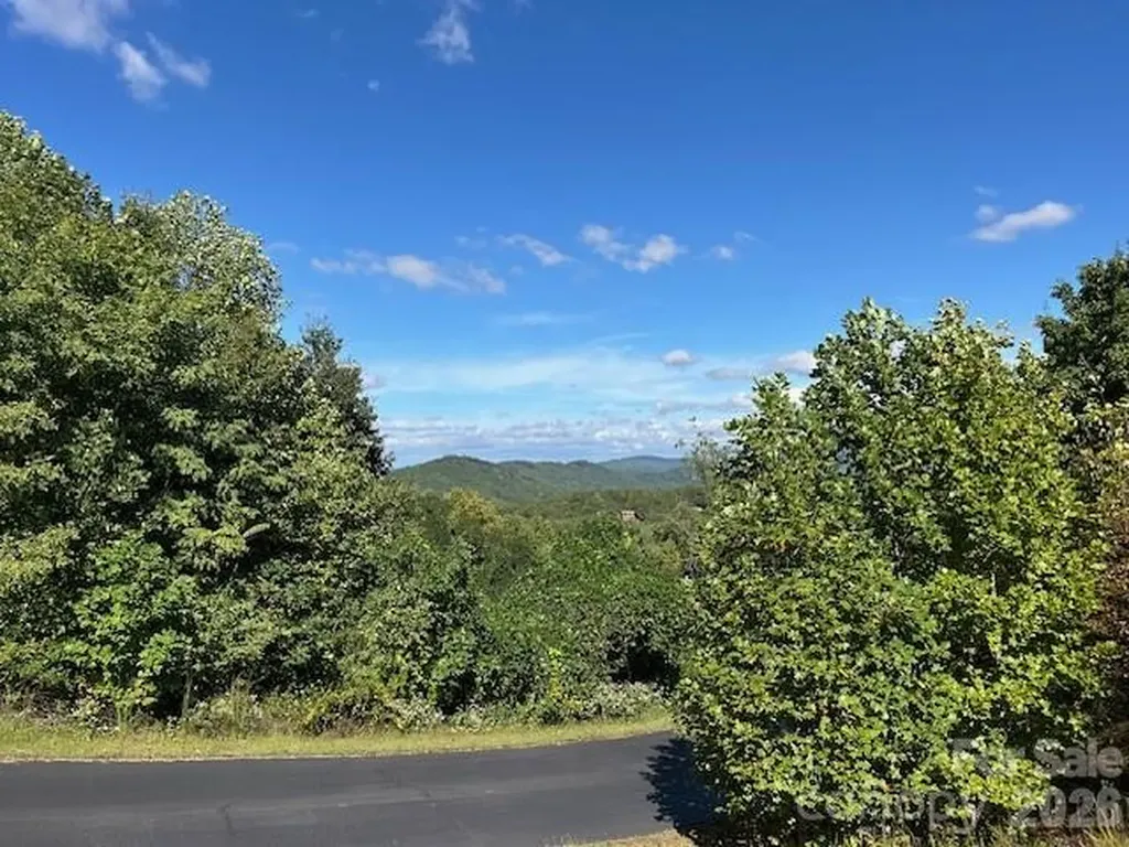 0 Tahawus Drive Bostic NC 28018