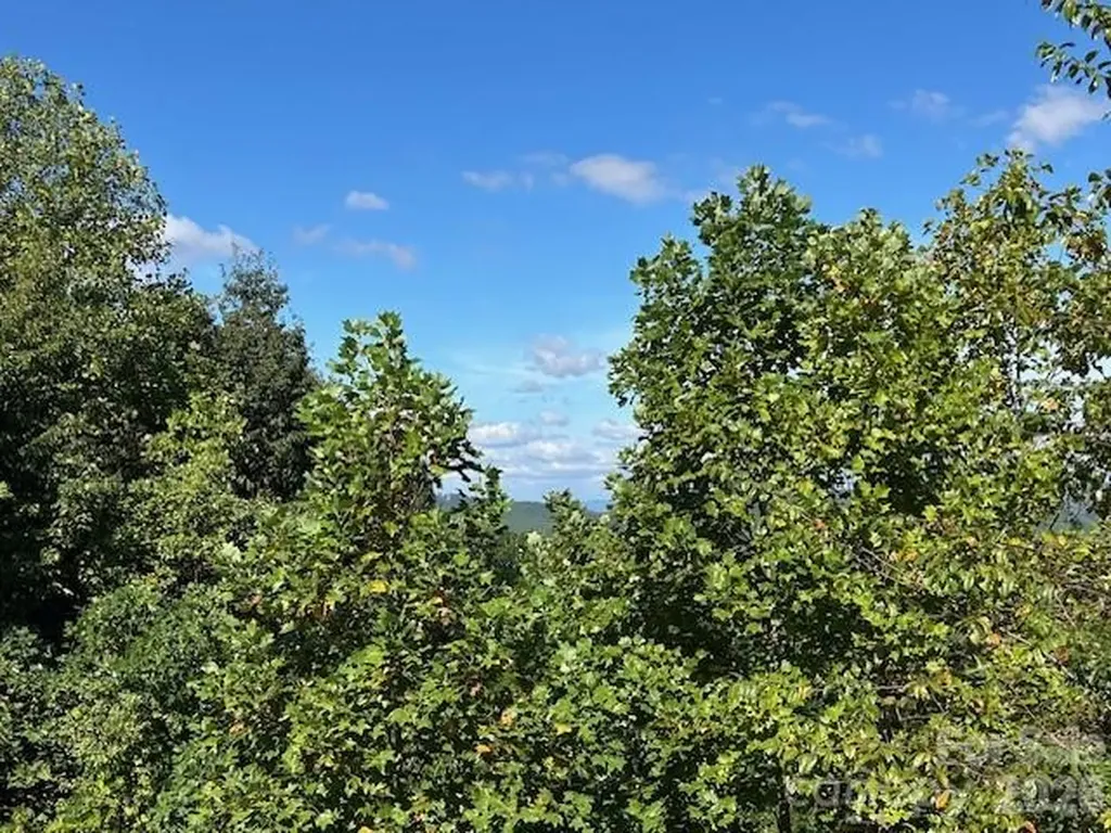 0 Tahawus Drive Bostic NC 28018