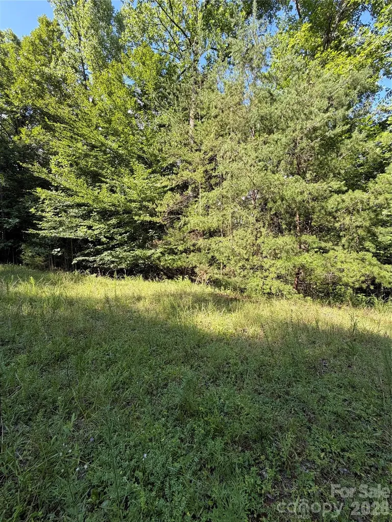 0 Greenhill Farms Drive Rutherfordton NC 28139