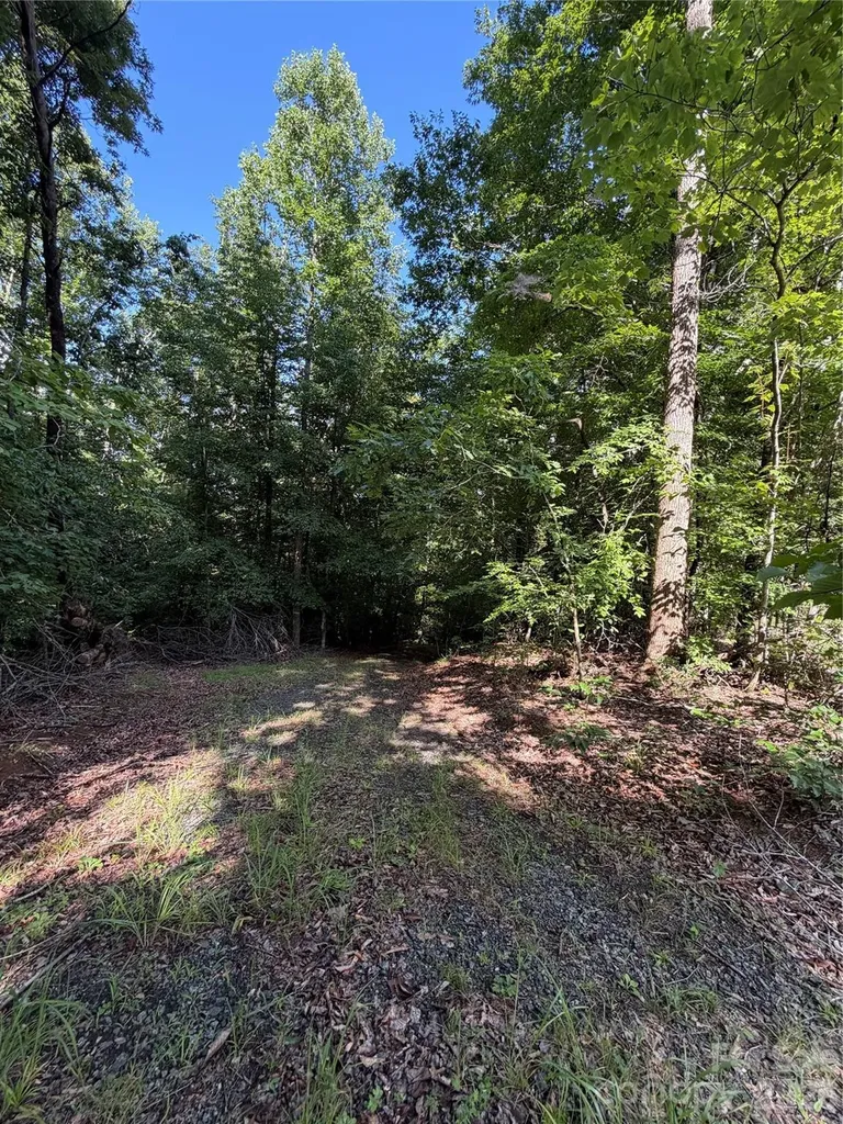 0 Greenhill Farms Drive Rutherfordton NC 28139
