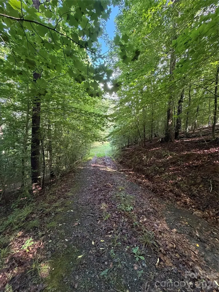 0 Greenhill Farms Drive Rutherfordton NC 28139