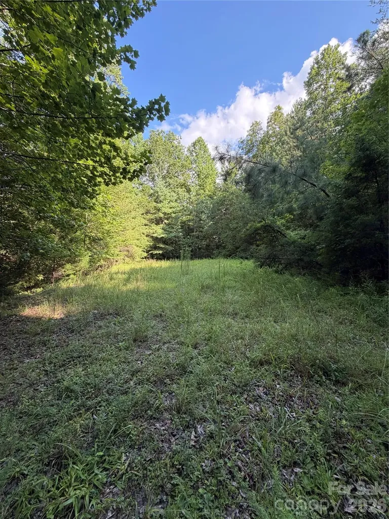 0 Greenhill Farms Drive Rutherfordton NC 28139