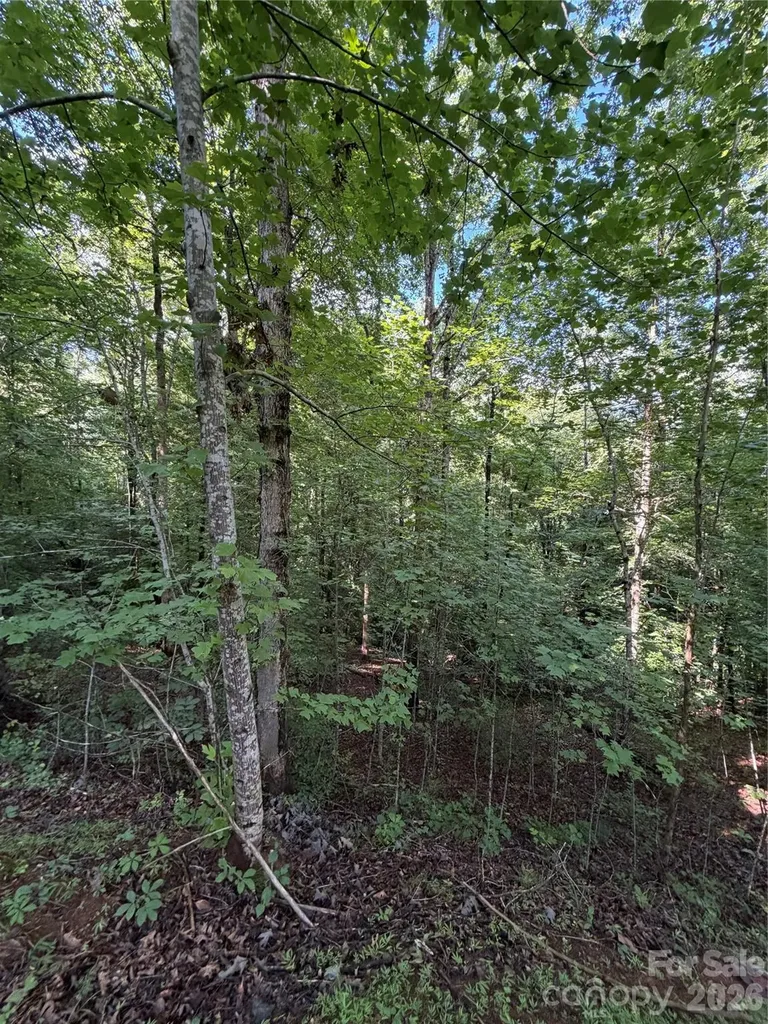 0 Greenhill Farms Drive Rutherfordton NC 28139