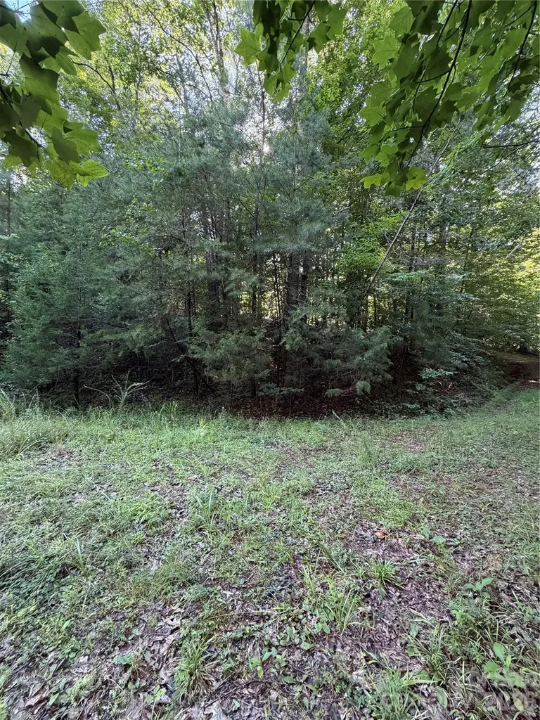 0 Greenhill Farms Drive Rutherfordton NC 28139