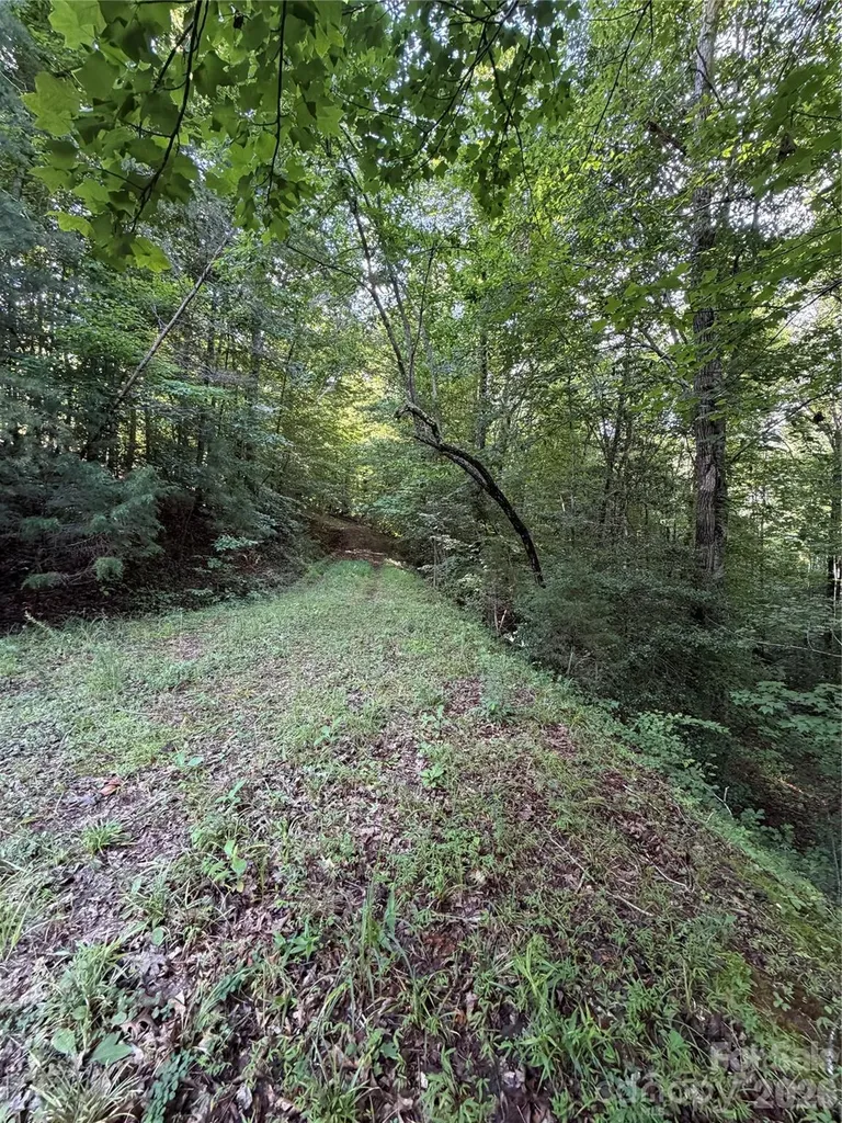 0 Greenhill Farms Drive Rutherfordton NC 28139