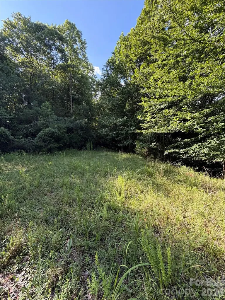 0 Greenhill Farms Drive Rutherfordton NC 28139