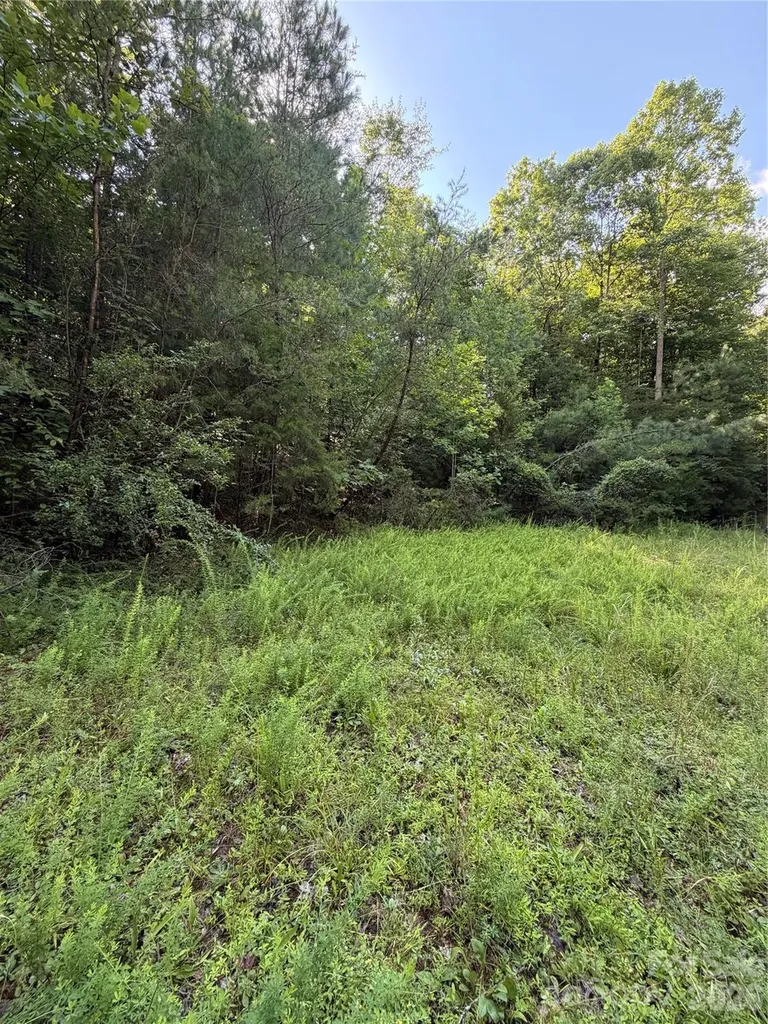 0 Greenhill Farms Drive Rutherfordton NC 28139