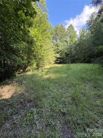 0 Greenhill Farms Drive Rutherfordton NC 28139