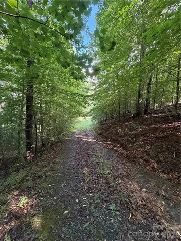 0 Greenhill Farms Drive Rutherfordton NC 28139