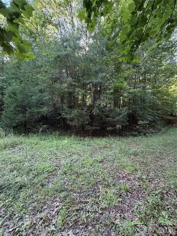 0 Greenhill Farms Drive Rutherfordton NC 28139