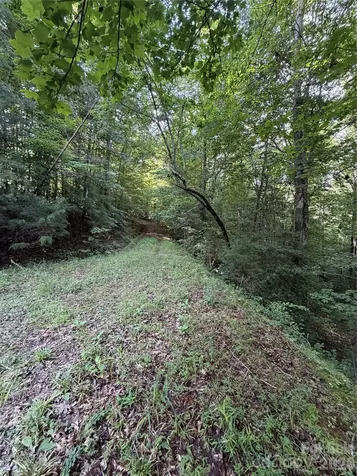 0 Greenhill Farms Drive Rutherfordton NC 28139