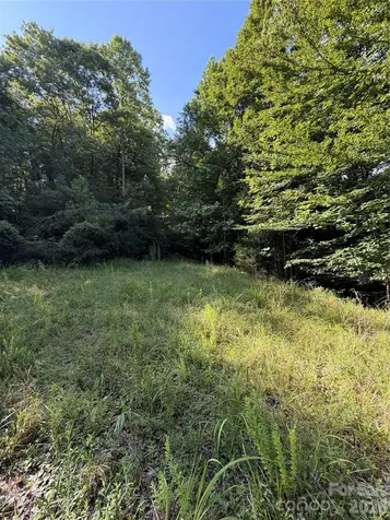0 Greenhill Farms Drive Rutherfordton NC 28139
