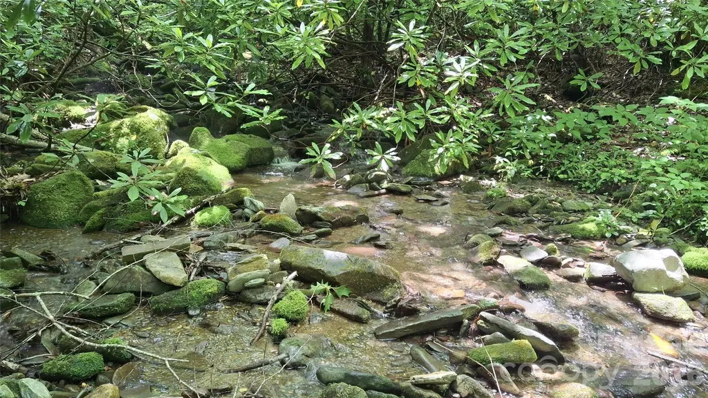 Robbinsville NC, Dry Creek Road