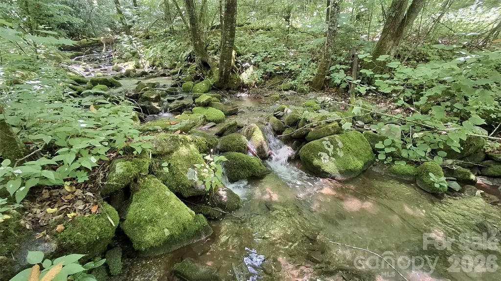 0 Dry Creek Road Robbinsville NC 28771