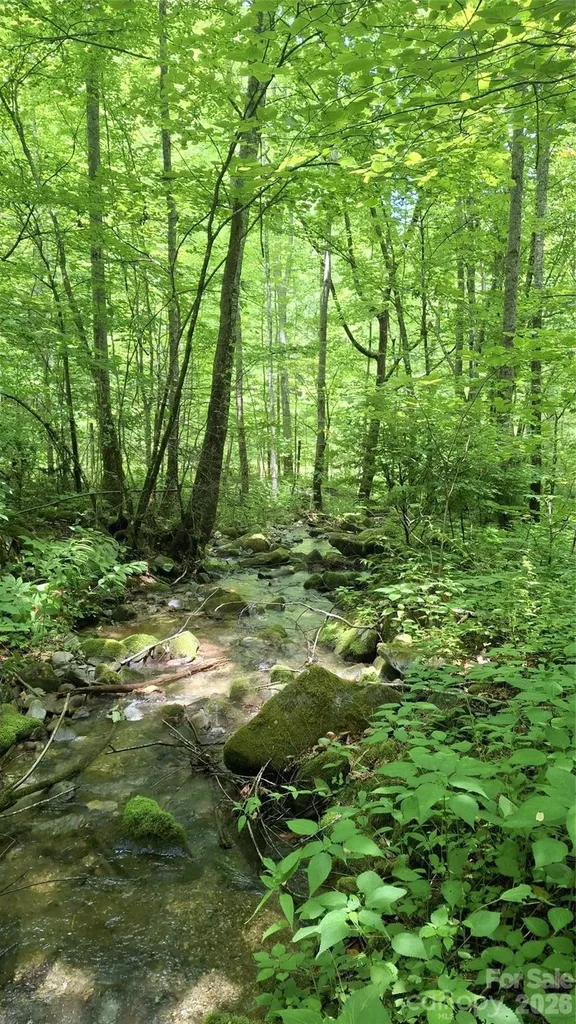 0 Dry Creek Road Robbinsville NC 28771