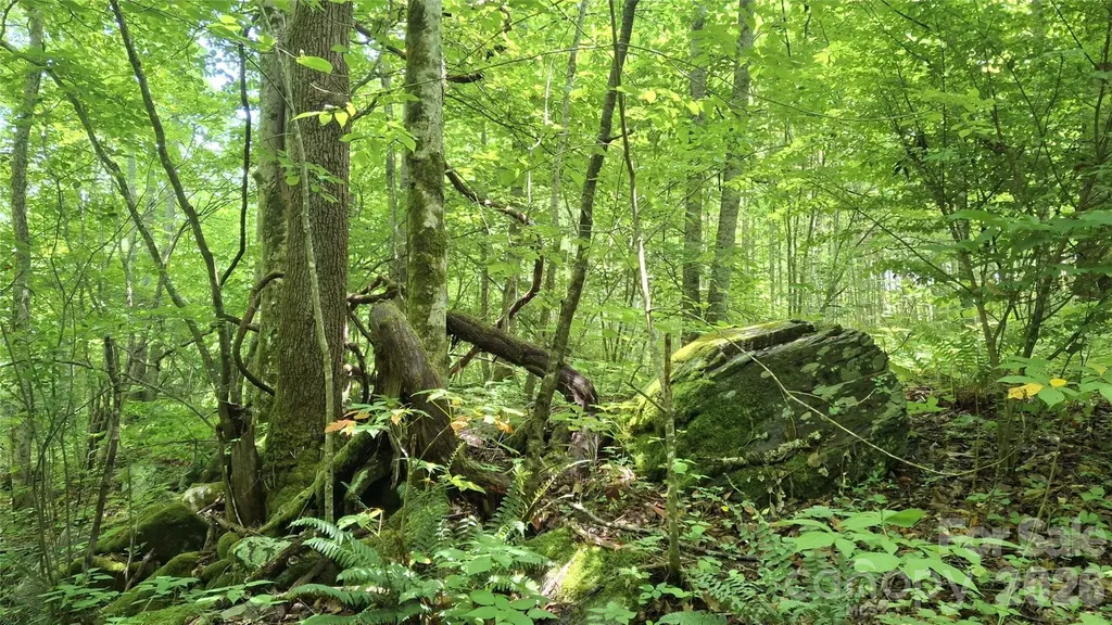 0 Dry Creek Road Robbinsville NC 28771