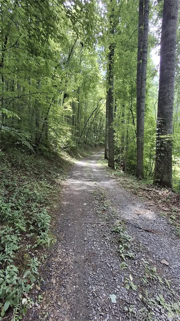 0 Dry Creek Road Robbinsville NC 28771