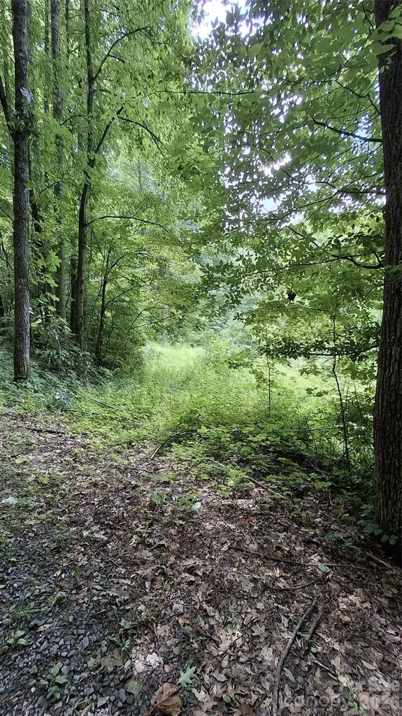 0 Dry Creek Road Robbinsville NC 28771