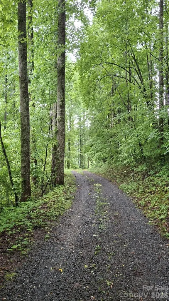 0 Dry Creek Road Robbinsville NC 28771