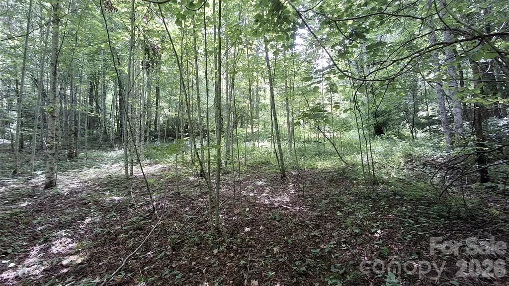 0 Dry Creek Road Robbinsville NC 28771