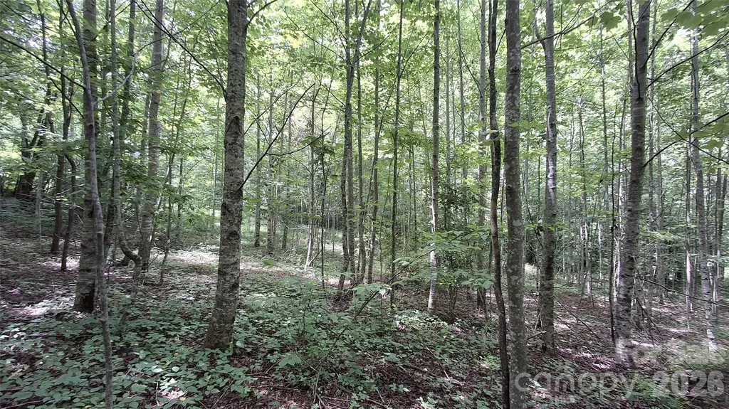 0 Dry Creek Road Robbinsville NC 28771