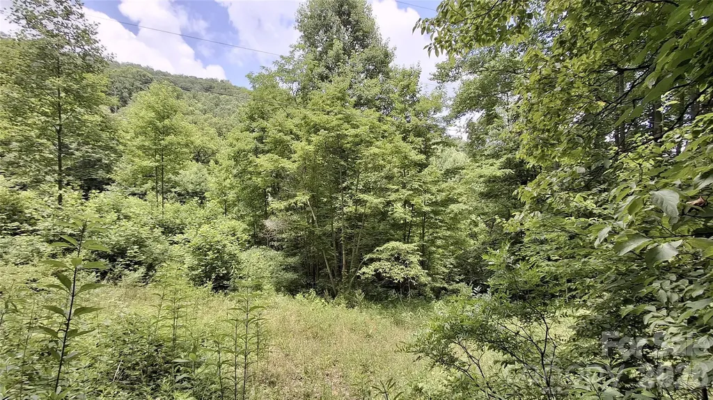 0 Dry Creek Road Robbinsville NC 28771