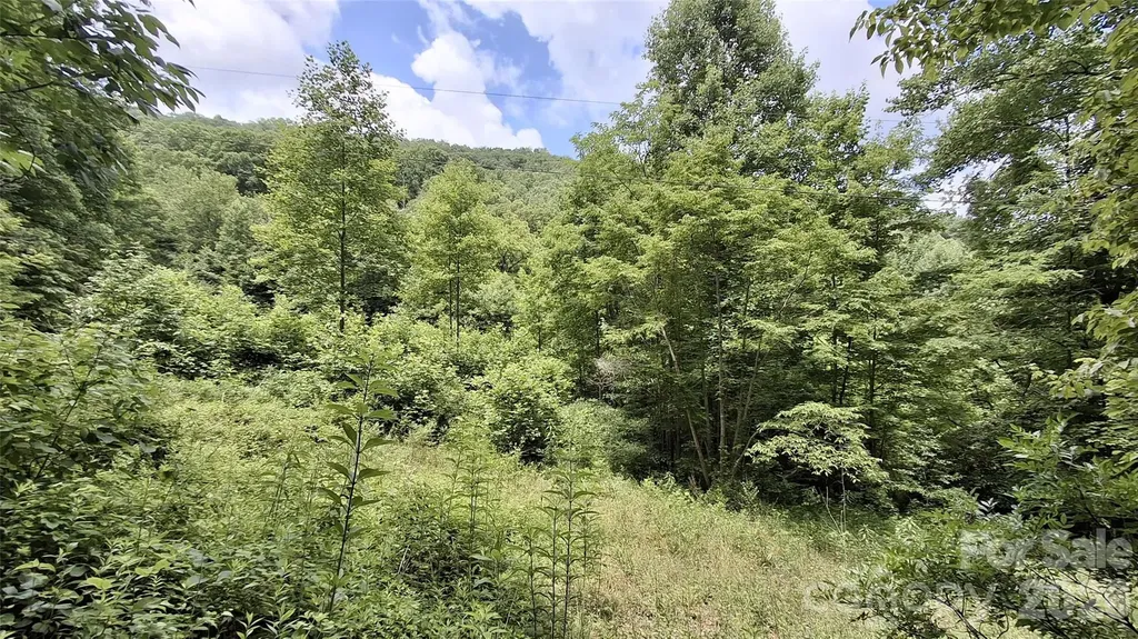 0 Dry Creek Road Robbinsville NC 28771