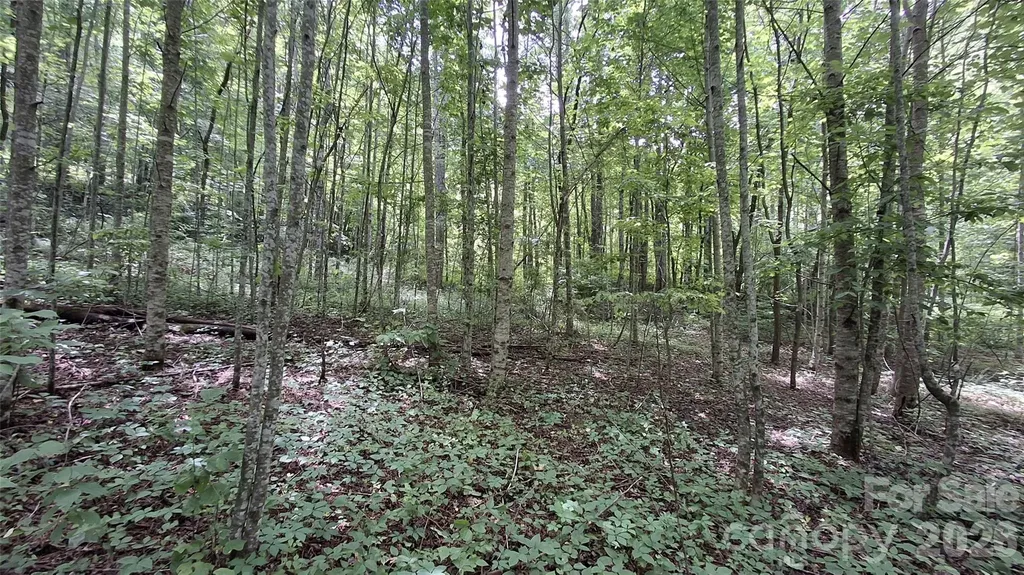 0 Dry Creek Road Robbinsville NC 28771