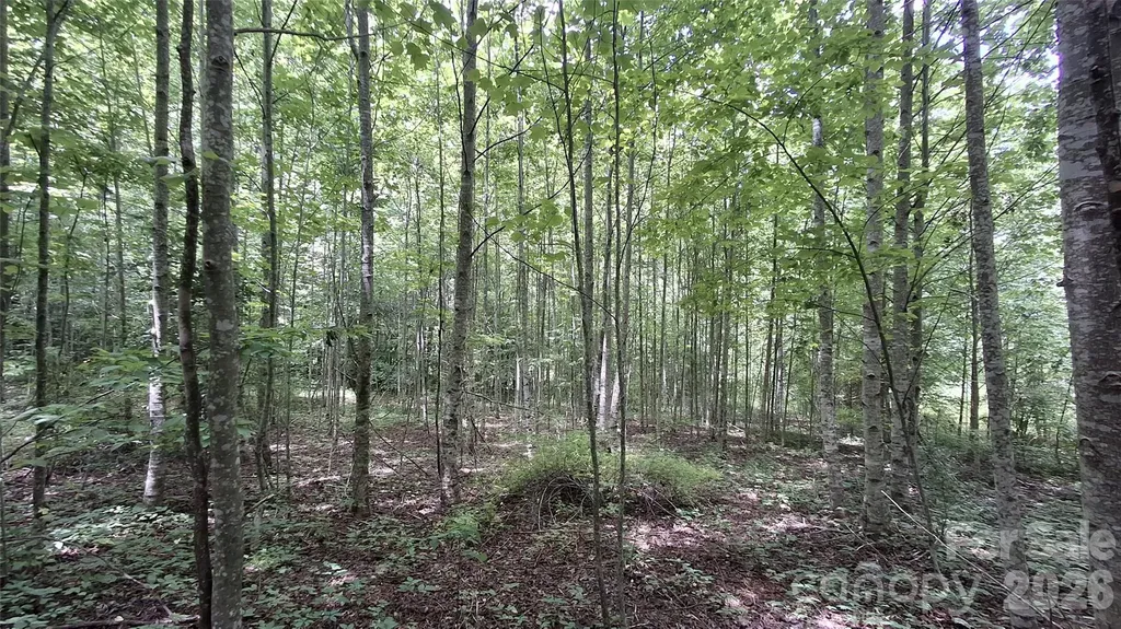 0 Dry Creek Road Robbinsville NC 28771
