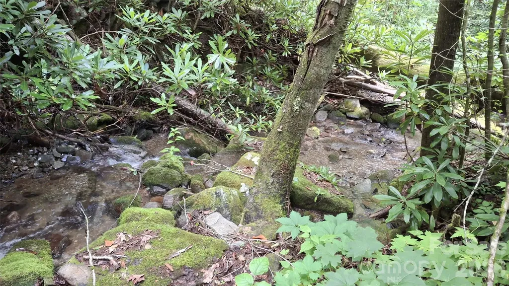 0 Dry Creek Road Robbinsville NC 28771