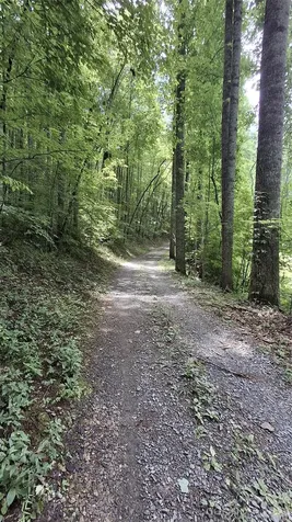 0 Dry Creek Road Robbinsville NC 28771