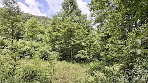 0 Dry Creek Road Robbinsville NC 28771