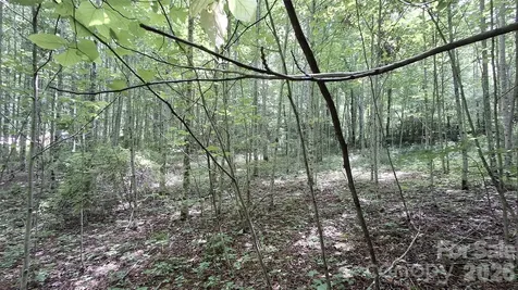 0 Dry Creek Road Robbinsville NC 28771
