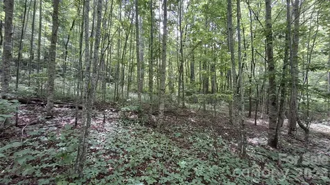 0 Dry Creek Road Robbinsville NC 28771