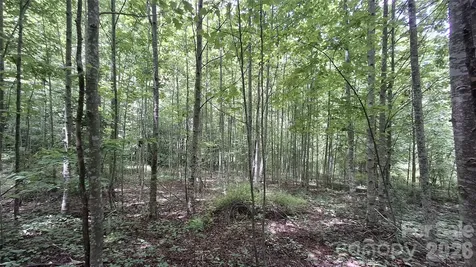 0 Dry Creek Road Robbinsville NC 28771