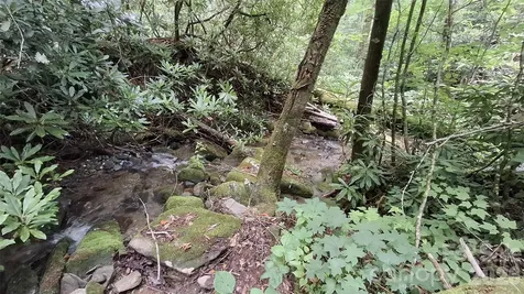 0 Dry Creek Road Robbinsville NC 28771