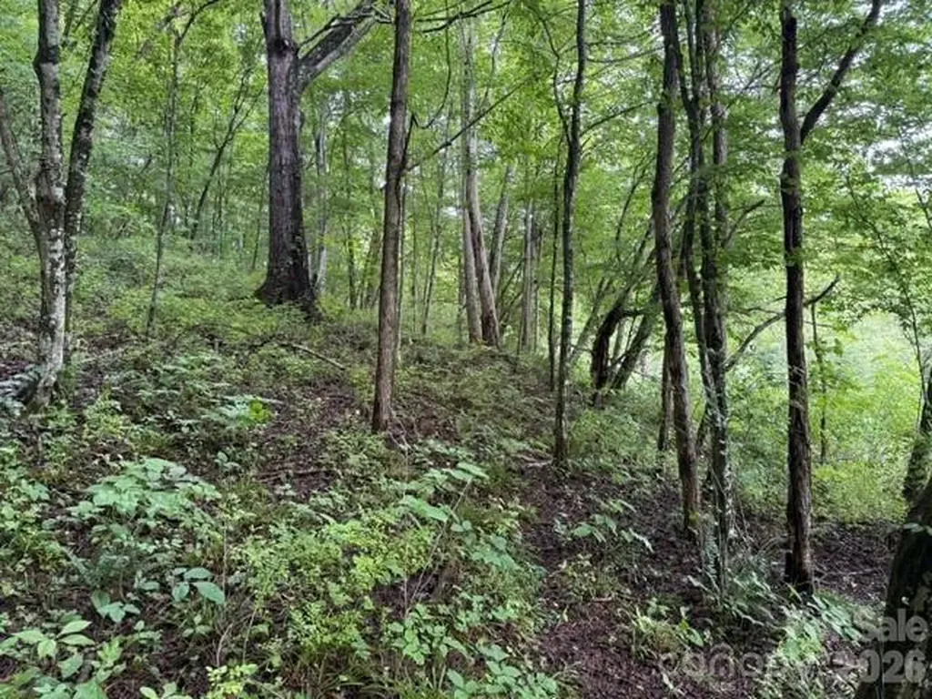 Tbd Meadow Fork Road Hot Springs NC 28743