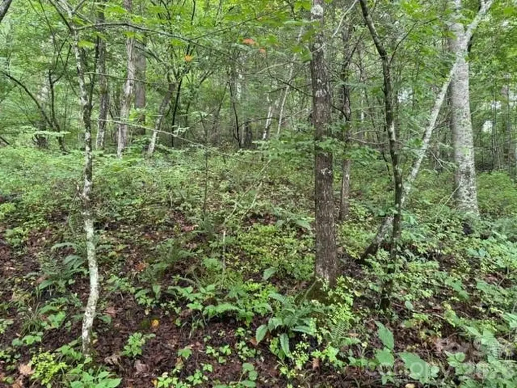 Tbd Meadow Fork Road Hot Springs NC 28743